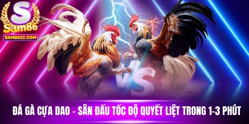 Đá Gà Cựa Dao - Sân Đấu Tốc Độ Quyết Liệt Trong 1-3 Phút