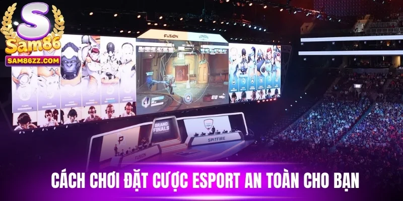 Cách chơi đặt cược esports an toàn cho bạn
