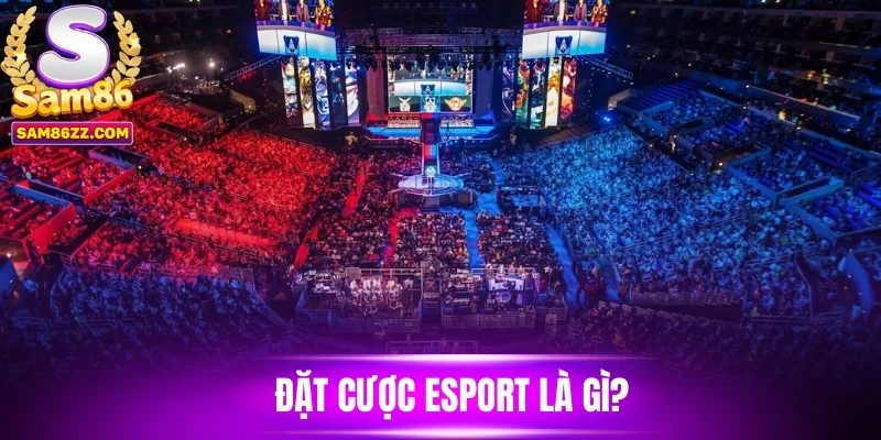 Đặt cược esports là gì?