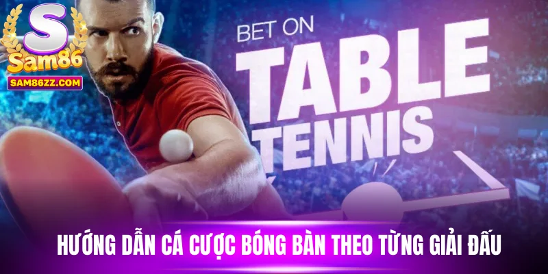 Hướng dẫn cá cược bóng bàn theo từng giải đấu