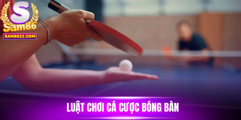Luật chơi cá cược bóng bàn 