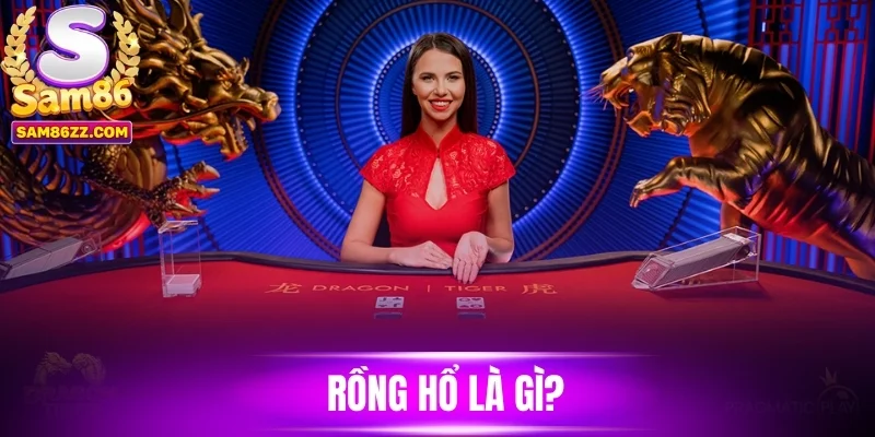 Rồng hổ là gì?